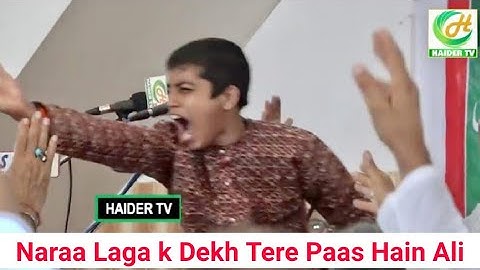 Naraa Laga k Dekh Tere Paas hai Ali | Saqlain Rizvi Sallamahu