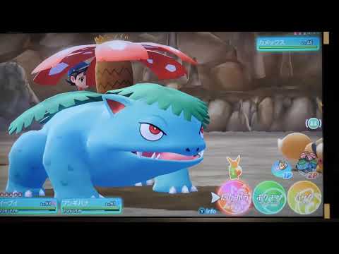 ポケットモンスター Let's Go! イーブイ プレイ７４[チャンピオンロード、セキエイこうげん]