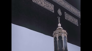 ريان المحيسني سوره القصص