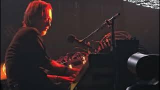 dawn chorus - thom yorke auckland 2024