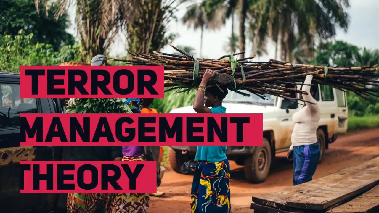 Terror Management Theory YouTube