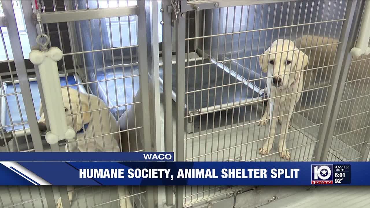 Humane Society of Central Texas officially leaves City of Waco Animal ...