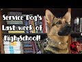 Finals Week with a Service Dog in High School