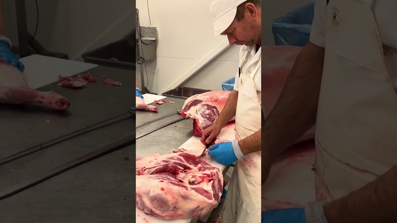 Partering av lam (høst 2025) 