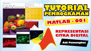Tutorial Pemrograman MATLAB - 001 - Representasi Citra Digital