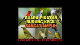 SHARE MP3 SUARA PIKAT BURUNG KECIL | KICAU MANIA