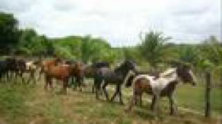 Guarda, jardim celeste