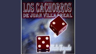 Video thumbnail of "Los Cachorros De Juan Villarreal - Palomita Palomita"