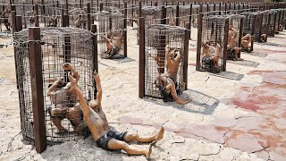 World's most STRICTEST jail even genius prison can't escape | Movie/Film Explained in Hindi/Urdu |