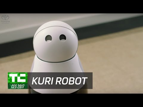 Vídeo: Com Fer Un Feix De Robot