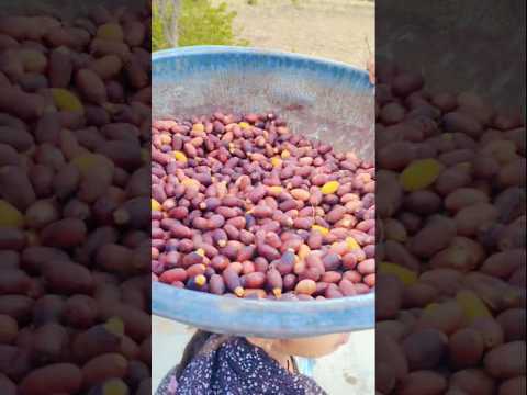 marwadi ki pahchan 😂 #marwadi #rajasthani #minivlog