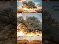 One Year Bible Reading Plan #audiobible #kjv #scripture #gospel #biblereading #christianmotivation