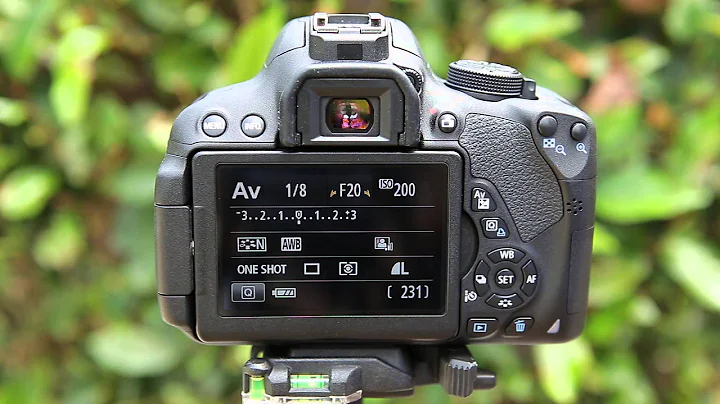 Understanding Aperture Priority - How to Use Your Camera, Part 3