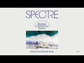 Para One - SPECTRE: Sundial (Picard Brothers Remix)