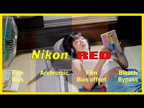 <strong>니콘</strong> zf , Z6iii z8 z9 N-log 용 공식 RED LUT 미리보기