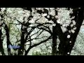 Capture de la vidéo Giovanni Marradi - Memories (Memories Of Spring)