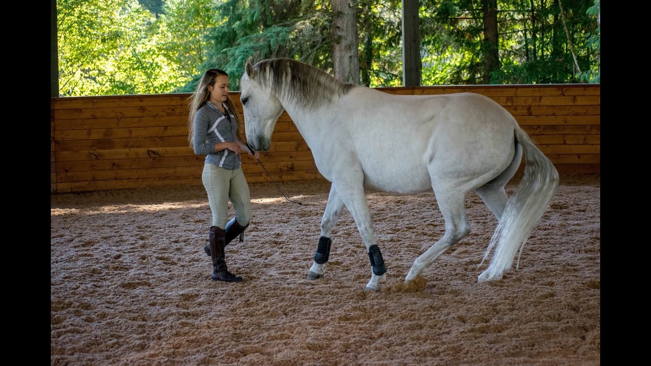 Liberty work with Zamando YouTube