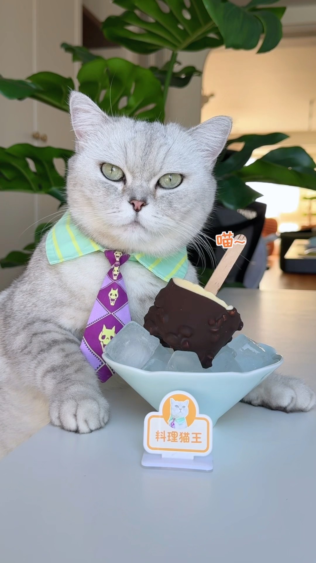 Make Dream Dragon Ice Cream with Rice #food #catofyoutube #pets