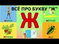 Алфавит - Буква Ж + как писать + слова на Ж + #развивающиймультик #ТатьянаБокова #Алфавитныймультик