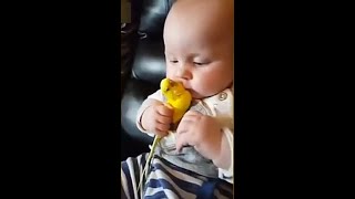 Funny Baby video Baby and Bird funny