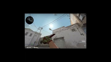 A Long Support Flash For Dust II