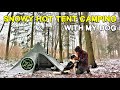 Winter Hot Tent Snow Camping - Overnighter With My Dog