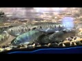 おんねゆ温泉 山の水族館 (Yamano Aquarium) の動画、YouTube動画。