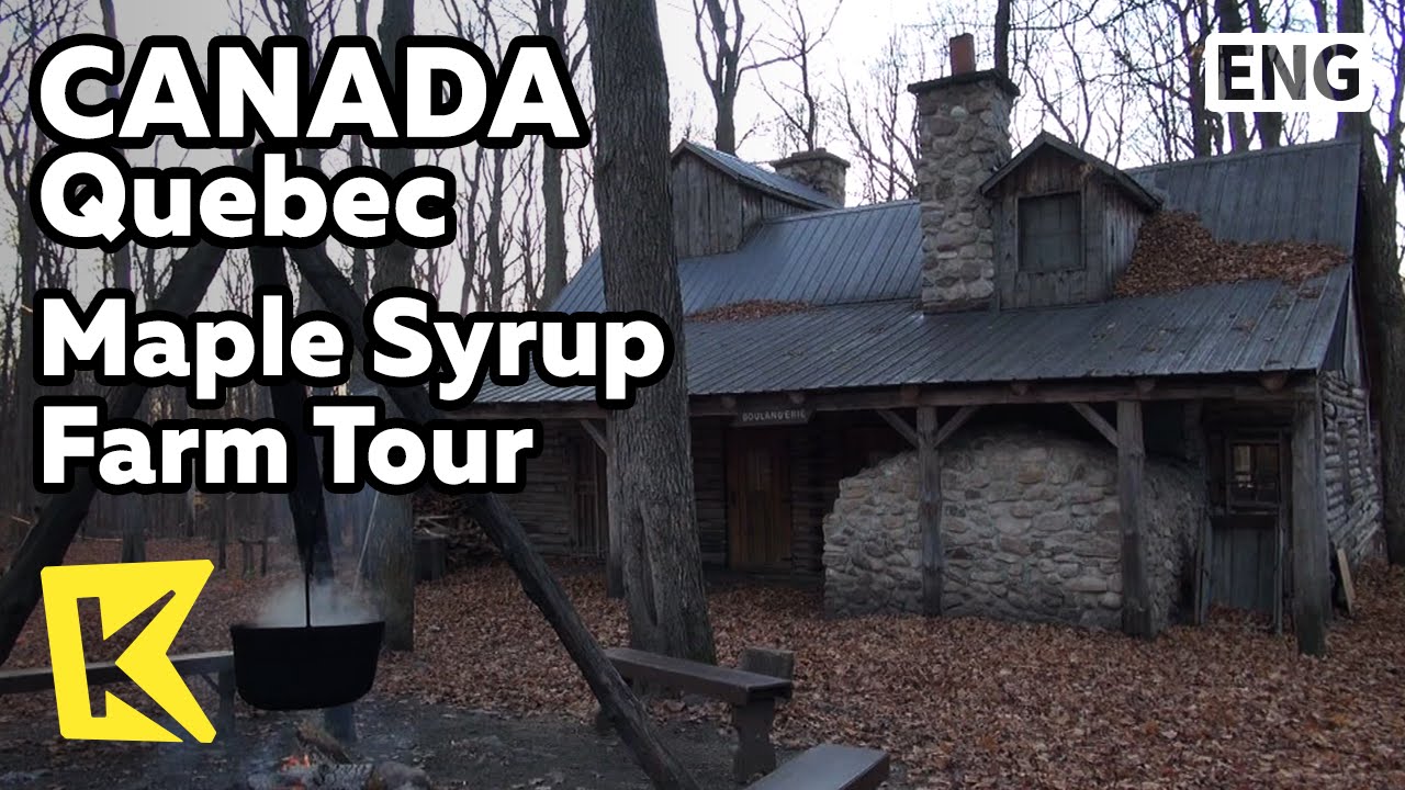 quebec city maple syrup tour