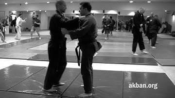 Seion, Kukishin ryu Dakentaijutsu - Ninjutsu technique for Akban wiki