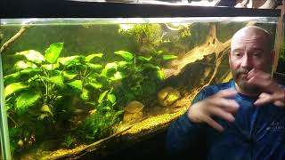 The Difference Between Osmosis And Diffusion