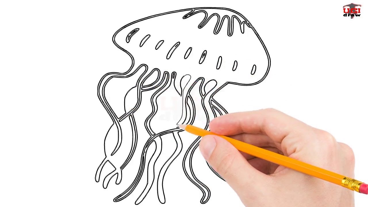 How To Draw A Jellyfish Step By Step Easy For Beginners Simple Jellyfishes Drawing Tutorial Youtube