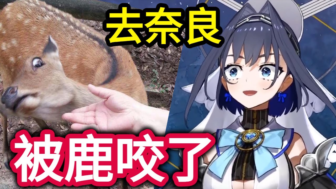 【hololive】Kronii去日本奈良被鹿咬了w 【Kronii】【vtuber 中文】 縮圖