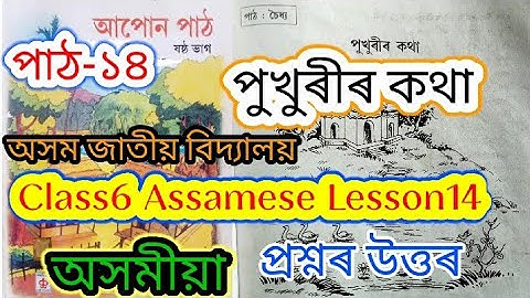 class6 assamese lesson14 (পুখুৰীৰ কথা)assam jatiya bidyalay
