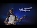 John Sherrill - Hummingbird