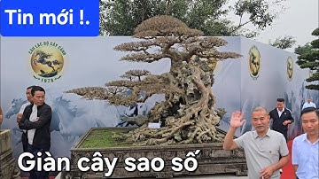 Chiêm ngưỡng mãn nhãn giàn cây chất lượng triển lãm hội 1978