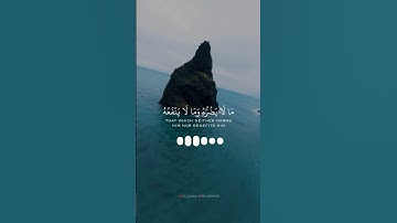 كروما شاشة سوداء قرآن كريم - تلاوة من سورة الحج - الشيخ د. ياسر الدوسري . المصحف المرتلعام 1425هـ