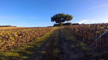 TBS Vendetta - Still perfect for smooth video