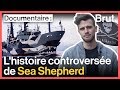 Pirates ou sauveteurs des mers  lhistoire de sea shepherd avec hugo du tatou