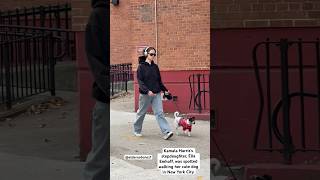 Kamala Harris's stepdaughter, Ella Emhoff,was spotted walking her cute dog in New York #kamalaharris