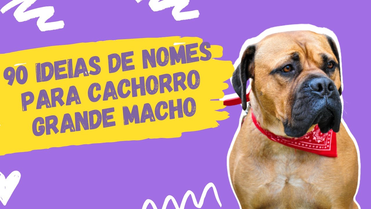 🐶90 IDEIAS de Nomes Super Criativos para Cachorro Grande MACHO - YouTube