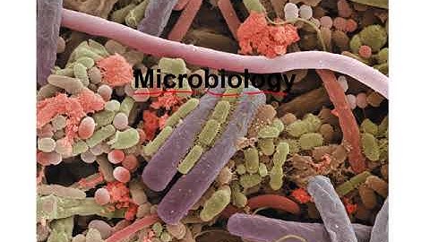 Chapter 1 Microbial World