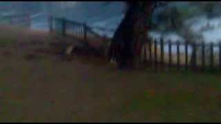 Enes Ustundag Adada Sarhos.mp4