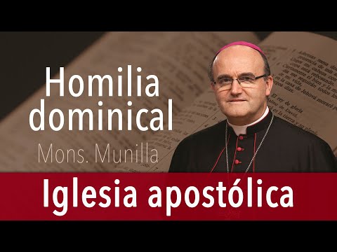 Homilía 29.06.2025 /