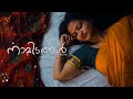 നാമിടങ്ങൾ | Namidangal | Visakh Collective | Malayalam Music Album