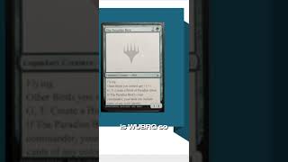 Birds Of Paradise Commander? Mini Podcast 83