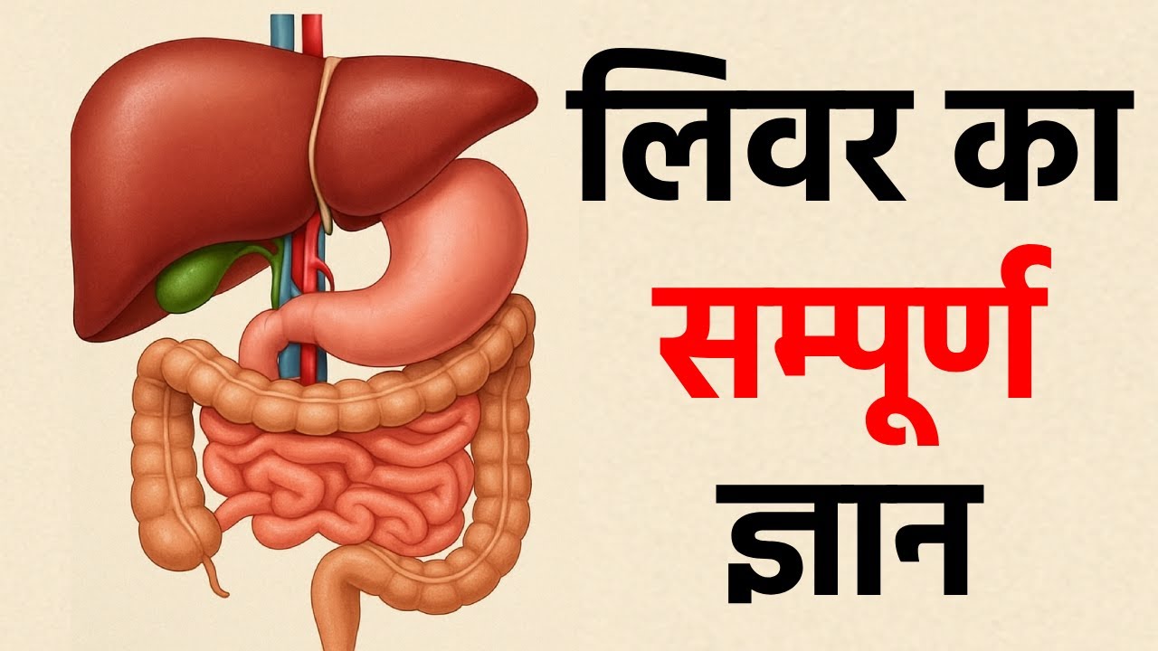 लिवर खराब क्यों होता है? लक्षण, कारण और बचाव | Liver Ka Sampurn Gyan