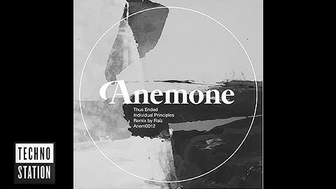 Thus Ended - Individual Principles