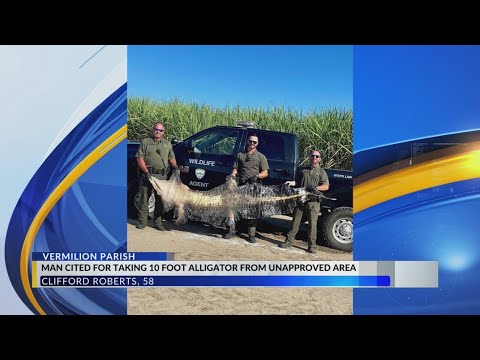 Morgan City La Arrest Report