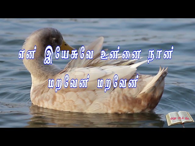 EN YASUVE UNNAI NAAN MARAVEN |#Tamil christian songs class=