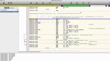 Algorithm Decompilation and Analysis Demo